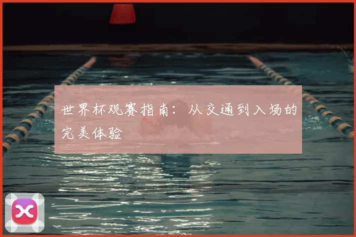 世界杯观赛指南：从交通到入场的完美体验