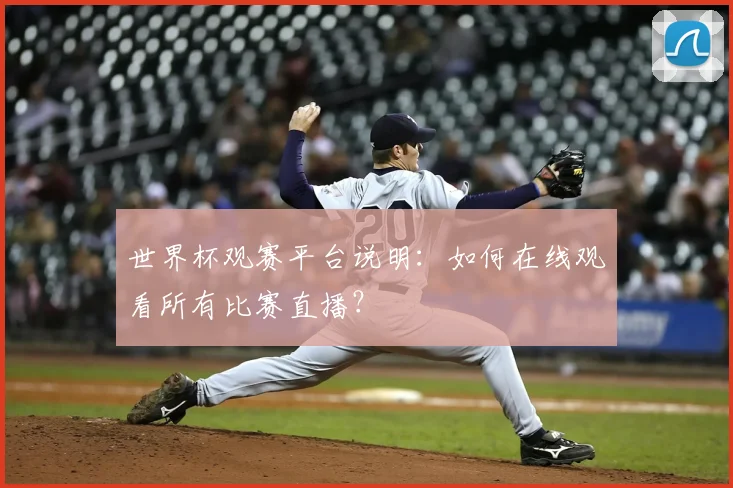 世界杯观赛平台说明：如何在线观看所有比赛直播？