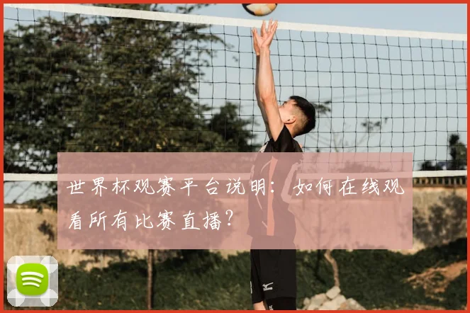 世界杯观赛平台说明：如何在线观看所有比赛直播？